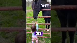 Little girl feeding grass to the horse shorts [upl. by Stambaugh]