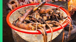 Bizarre Indonesian Jungle Food Welcome to EXTREME Indonesian Cooking in North Sulawesi [upl. by Daas532]