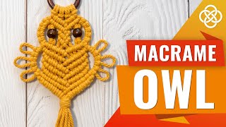 DIY Macrame Owl Tutorial  Macrame DIY  How to Make Macrame Owl [upl. by Thurber]