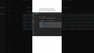 programming in java until i get a null pointer exceptionprogramminghumor [upl. by Noret197]