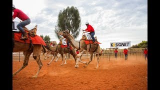 Uluru Camel Cup FullLength Version [upl. by Alley375]