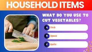 Can You Name These Household Items Vocabulary Quiz [upl. by Alesiram]