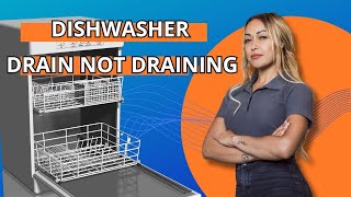 Dishwasher Drain Not Draining [upl. by Eseerehs]