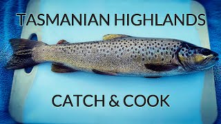 Catch amp Cook Tasmanian Highlands Brown Trout  BEACH HERMIT EP 33 [upl. by Irrol]