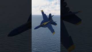 very rare F 18e US Navy Blue Angels aircraft shorts [upl. by Iderf]