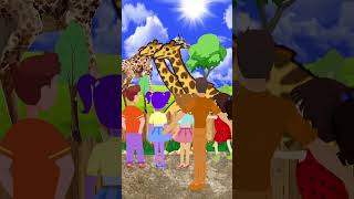 Giraffes in Zoo [upl. by Seadon]