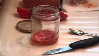 Simple Tomato Seed Saving Methods [upl. by Kath]