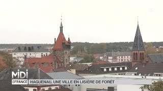 SUIVEZ LE GUIDE  Haguenau une ville en lisière de forêt [upl. by Iruam]