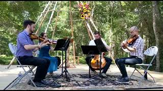 Concerning Hobbits  Lord of the Rings String Quartet Cover [upl. by Atina]