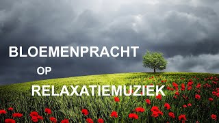 Bloemenpracht op relaxatiemuziek 1 [upl. by Fleur]