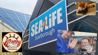 our first visit to sealife Scarborough MerlinAnnualPass [upl. by Wawro803]