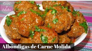 COMO HACER ALBONDIGAS DE CARNE MOLIDA PASO A PASO [upl. by Aneerol]