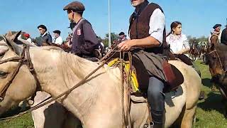 Cabalgando a quotLa Fiesta del Talar  2024quot desde la rotonda de Madariaga [upl. by Keifer166]