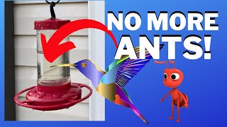 How to Keep Ants out of your Hummingbird Feeder  Prevent Ants from eating necar from bird feeder [upl. by Goulet173]