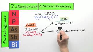 Periodensystem der Elemente V Hauptgruppe 5 Ammoniaksynthese  Chemie [upl. by Vanzant]