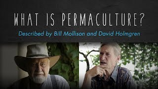 What is Permaculture By Bill Mollison David Holmgren [upl. by Nesilla]