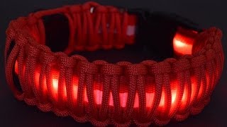 How to Wrap an LED Dog Collar with Paracord  BoredParacord [upl. by Weig264]