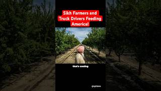 Roots of Pride Celebrating Sikh Farmers amp Truck Drivers Who Feed America farmers truckdrivers [upl. by Radbourne949]