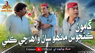 Gamoo Kanjoos Manhoo Saan Wha Ji Kayi  Asif Pahore Gamoo  Kheero Buriro  Gamoo New Video  2023 [upl. by Skyla]