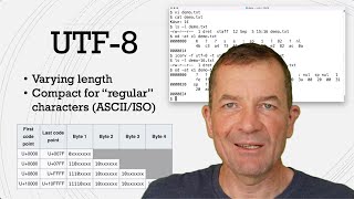 What are UTF8 and UTF16 Working with Unicode encodings [upl. by Lundberg]