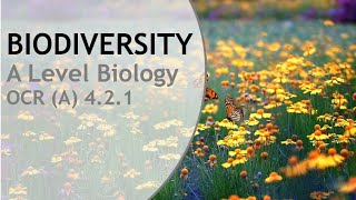 Biodiversity  OCR A A Level Biology  Whole Topic Revision [upl. by Uos]