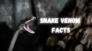 Snake Venom Facts [upl. by Ermanno]