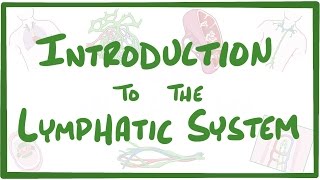 Introduction to the Lymphatic System [upl. by Lizzie705]