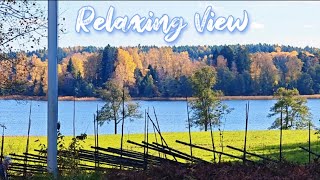 Calm amp Relaxing Music  Make You Sleep Fast [upl. by Selmner520]