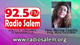 Radio Salem 925 FM ¡EN VIVO [upl. by Chelsea674]