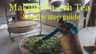 Puerh Tea Processing [upl. by Erdda446]