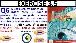 Exercise 35 Question 6 class 12 Maths New KPK Book  Ex 35 Q No 6 Growth Rate of Cholera Bacteria [upl. by Hardden]