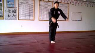 Sa Beom Nim Huy Pham performs Guhm Moo Hyung LeftSided [upl. by Cinimmod]