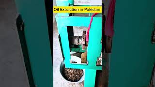 Canola Oil extraction Pakistan Oil extraction plant [upl. by Relyuhcs]