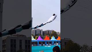 International Kite Festival 2024  Riverfront Kite Festival shorts shortsfeed kite kiteflying [upl. by Yduj]