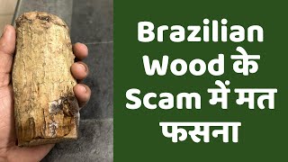 Brazilian Wood के Scam में मत फसना I Brazilian Wood Scam I Gyaanbaaz [upl. by Acirrehs]