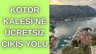 Kotor Kalesi’ne Ücretsiz Çıkış  Kotor Kalesine Nasıl Çıkılır  KARADAĞ GEZİSİ [upl. by Amalita]