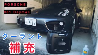 【クーラント補充】PORSCHE Cayman ケイマン981 走行8000km 整備 まったりクーラント補充してみた ポルシェ [upl. by Aihtibat]