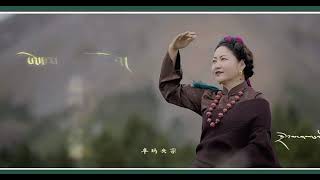 Tibetan Markham songdance སྨར་ཁམས་པི་ཝང་བྲོ་ར། tibetangorshey [upl. by Aiciled]