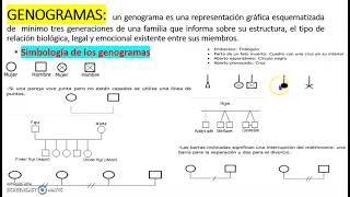 SIMBOLOGÍA DE LOS GENOGRAMAS [upl. by Lyj293]