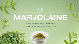 La marjolaine 13 vertus thérapeutiques peu connues de cette herbe [upl. by Polinski]