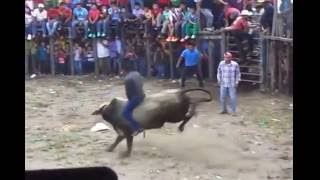 montadas de toros en ciudad de totolapa chiapas [upl. by Sim348]