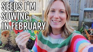 SEEDS IM SOWING IN FEBRUARY 2024  ALLOTMENT GARDENING FOR BEGINNERS [upl. by Lindner]