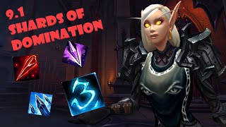 HOLY PALADIN 91 SHARDS OF DOMINATION  LEGENDARY RECRAFTING EXPLAINED [upl. by Winter]