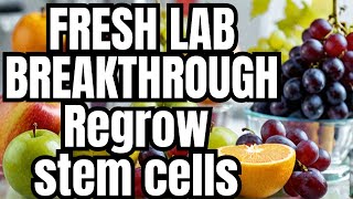 REGROW your Stem Cells with these 5 fruits [upl. by Adora998]