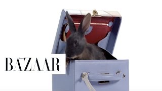 Baby Bunnies and Springs Hottest Handbags [upl. by Rosenfeld]