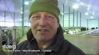 Canadian farmer uses DCC Waterbeds with separated solids [upl. by Llerut50]