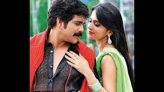 Nagarjuna Love Hindi Dubbed Full Movie 2018  Bhumika Chawla NEW RELEASED [upl. by Glaab384]