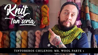 Knit tan Seria 18  Tintoreros chilenos Mister Wool parte 1 [upl. by Atinra]