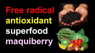 영어Free radical antioxidant superfood maqui berry [upl. by Nima370]