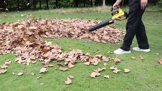 21V Cordless Leaf Blower  150MPH 500CFM Cleanup Made Easy 🛒👉httpslnrunYXuDk [upl. by Eirrotal]